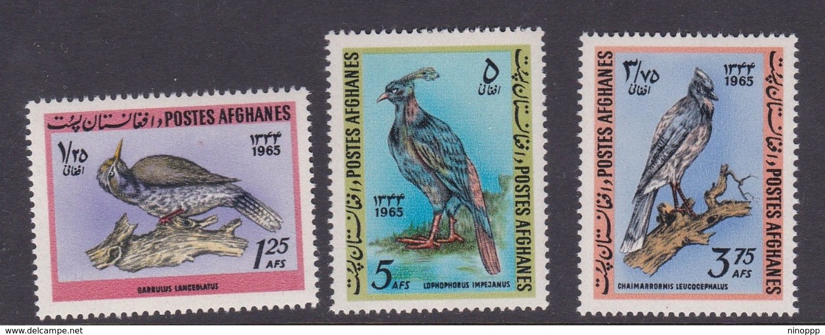 Afghanistan SG 543-545 1965 Birds MNH - Afghanistan