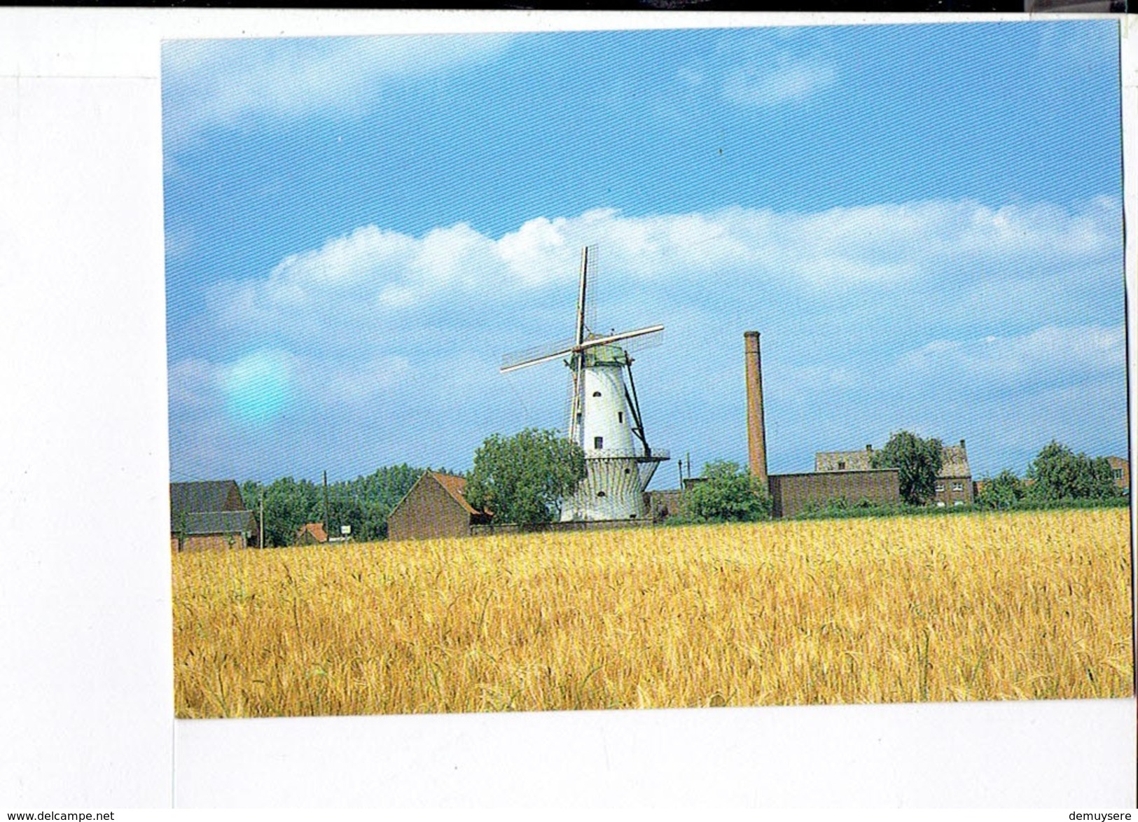 41372 DEERLIJK - Molen Declercq - Deerlijk