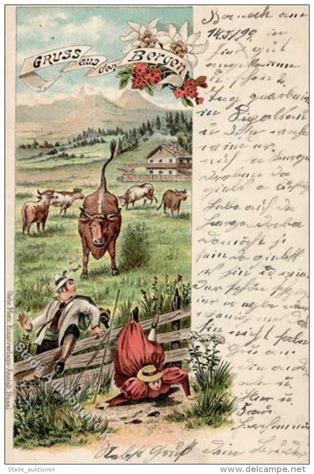 Gruss Aus Den Bergen Litho 1899 I-II Montagnes - Sonstige & Ohne Zuordnung