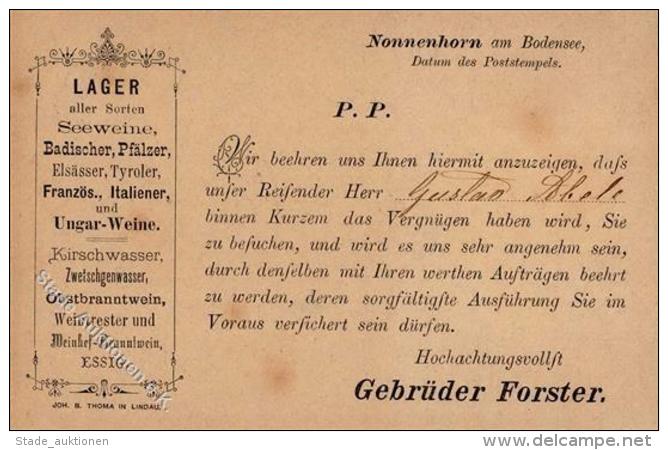 Vorl&auml;ufer Nonnenhorn (8993) Gebr&uuml;der Forster Sehr Fr&uuml;her Vertreter Avis Ca. 1880 II (beschnitten) - Ohne Zuordnung