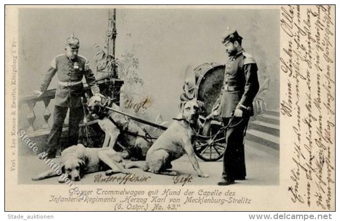 Regiment Inf. Regt. Herzog Karl Von Mecklenburg Strelitz 6. Ostpr. Nr. 43 Gro&szlig;er Trommelwagen Mit Hund 1903 I-II C - Regimente