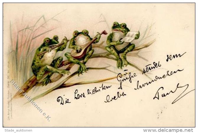 Frosch Personifiziert Musikanten Lithographie 1899 I-II Grenouille - Sonstige & Ohne Zuordnung