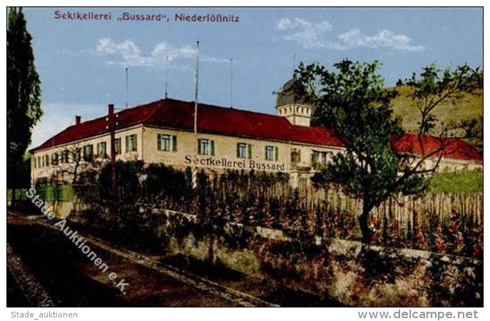 Wein Niederl&ouml;ssnitz (O8122) Sektkellerei Bussard I-II Vigne - Sonstige & Ohne Zuordnung