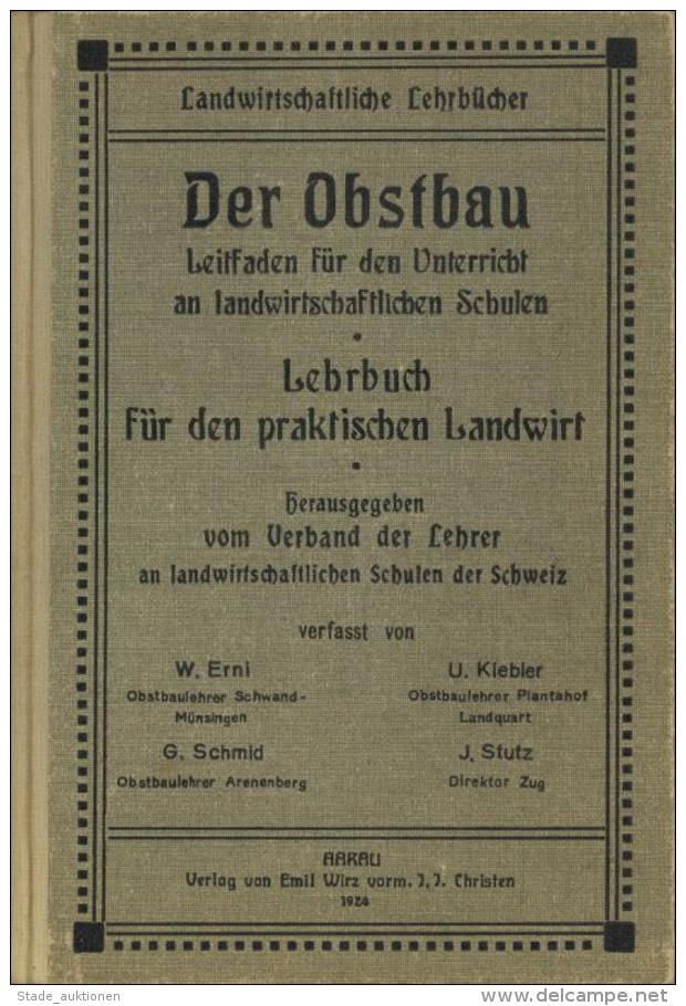 Landwirtschaft Buch Der Obstbau Hrsg. Verband Der Lehrer An Landwirtschtl. Schulen Der Schweiz 1924 Verlag Emil Wirz 235 - Other & Unclassified