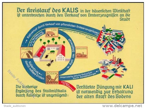 LANDWIRTSCHAFT - Der KREISLAUF Des KALIS I - Sonstige & Ohne Zuordnung