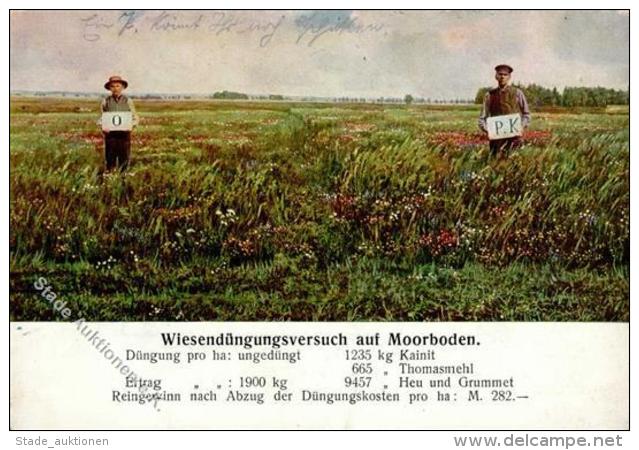 D&uuml;ngerwerbung Wiesend&uuml;ngungsversuch Auf Moorboden 1912 I-II - Werbepostkarten