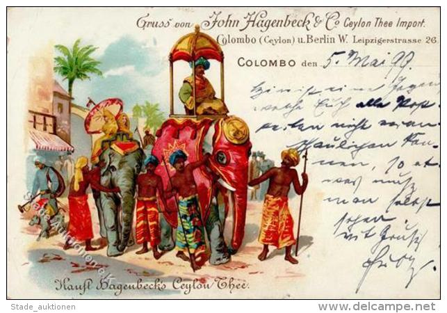CEYLON-THEE COLOMBO - Gruss Von John HAGENBECK (Zirkus) I-II Montagnes - Werbepostkarten