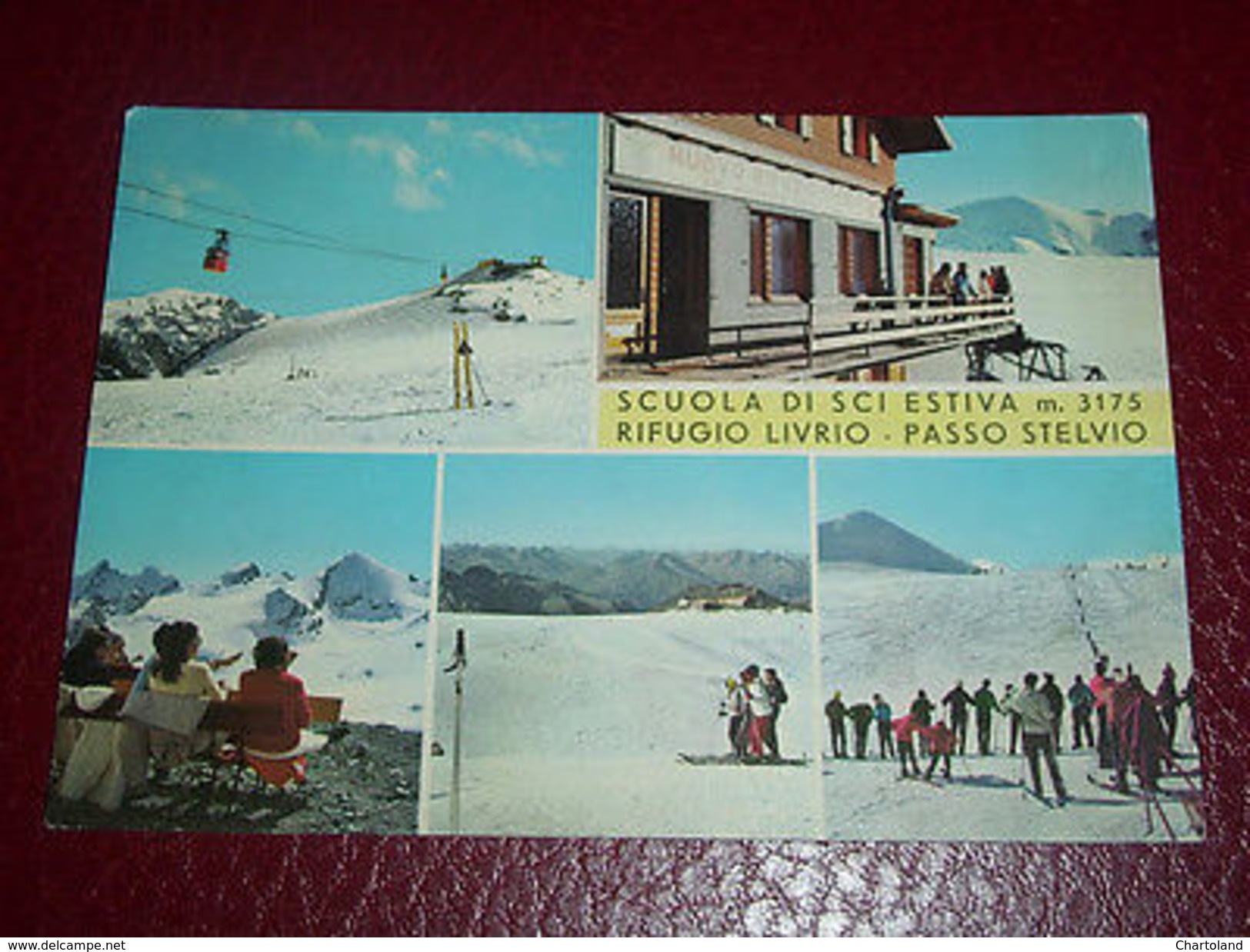 Cartolina Scuola Di Sci Estiva - Rifugio Livrio - Passo Stelvio 1970 Ca - Sondrio