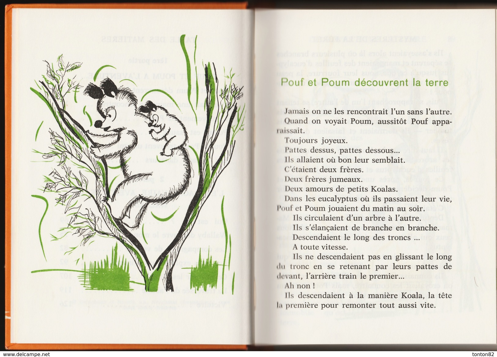 Florence Houlet - Les Mystères De La Forêt - Delachaux Et Niestlé - ( 1966 ) . - Altri & Non Classificati