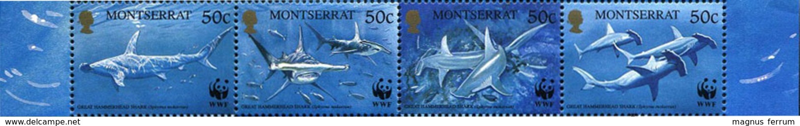 1999 Montserrat, Great Hammerhead Shark, WWF, 4 Stamps, MNH - Unused Stamps