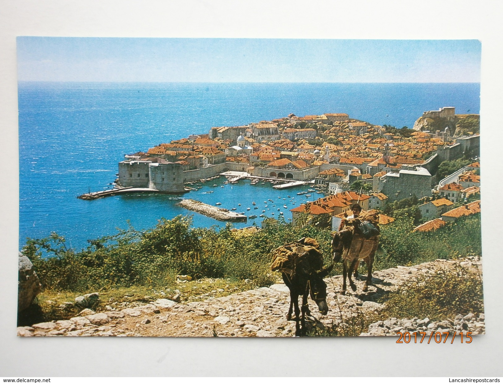 Postcard Dubrovnik Croatia & Donkeys My Ref  B11498 - Croatia