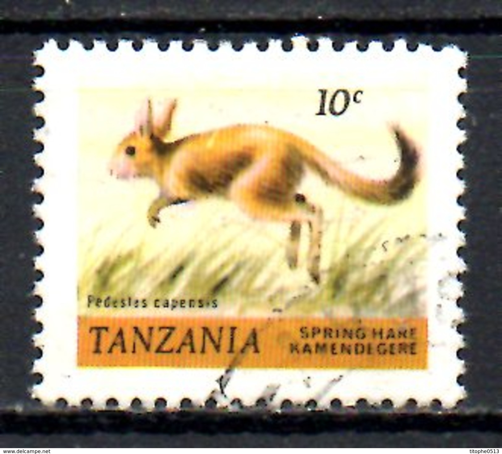 TANZANIE. N°163 Oblitéré De 1980. Rongeur. - Rodents