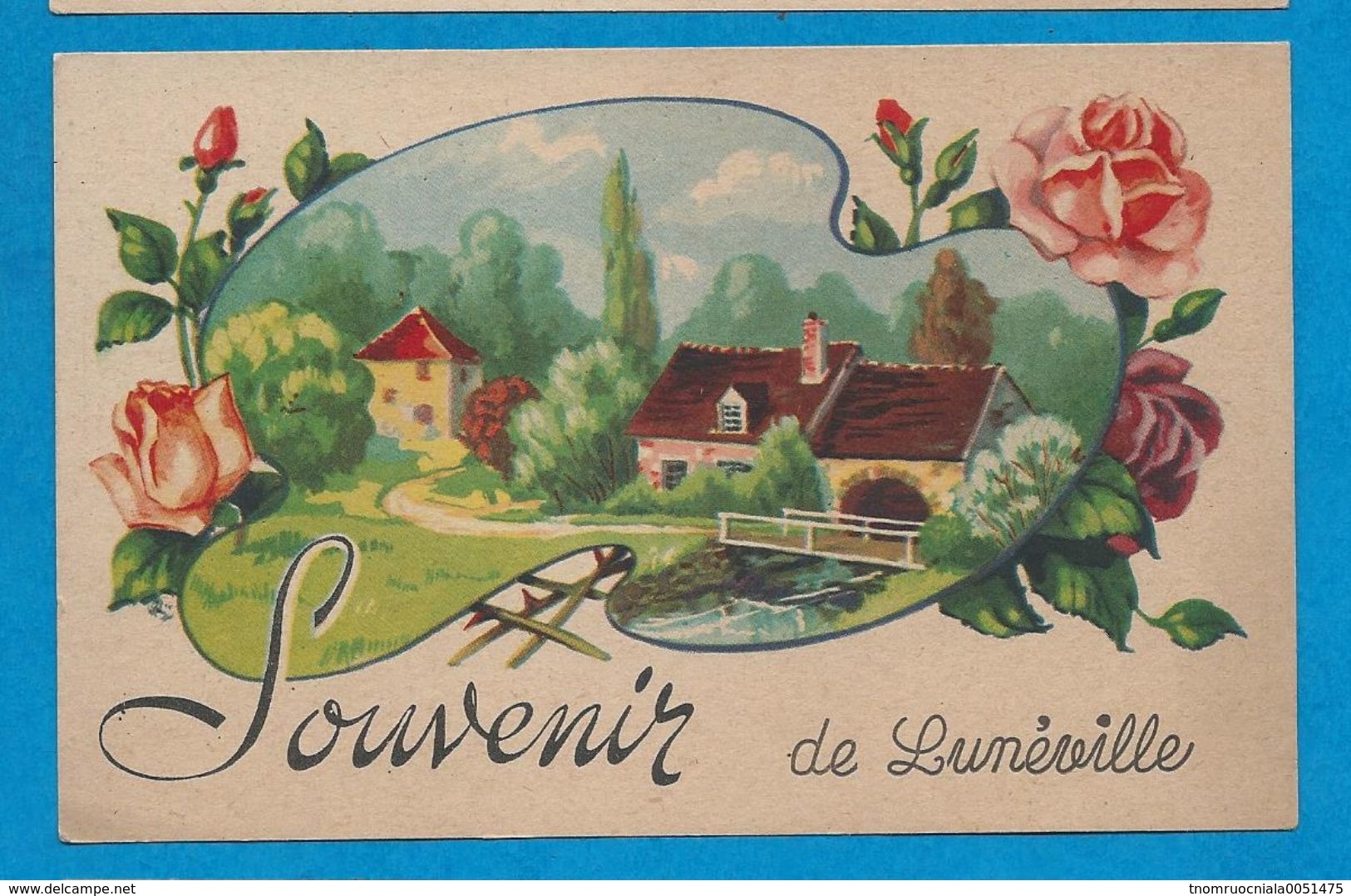 Souvenir De LUNEVILLE - Luneville