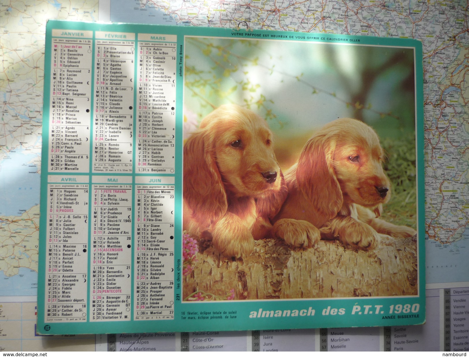 Almanach Des PTT 1980 Les Deux Chiots / L'enfant Au Poney  / Département Du Morbihan - Grand Format : 1971-80