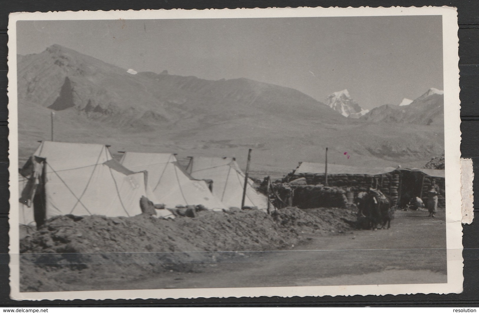 Tibet - CP (paysage Himalaya) Affr. 12f Càd "LHASSA/1956.10.2" Pour PEKING - Covers & Documents