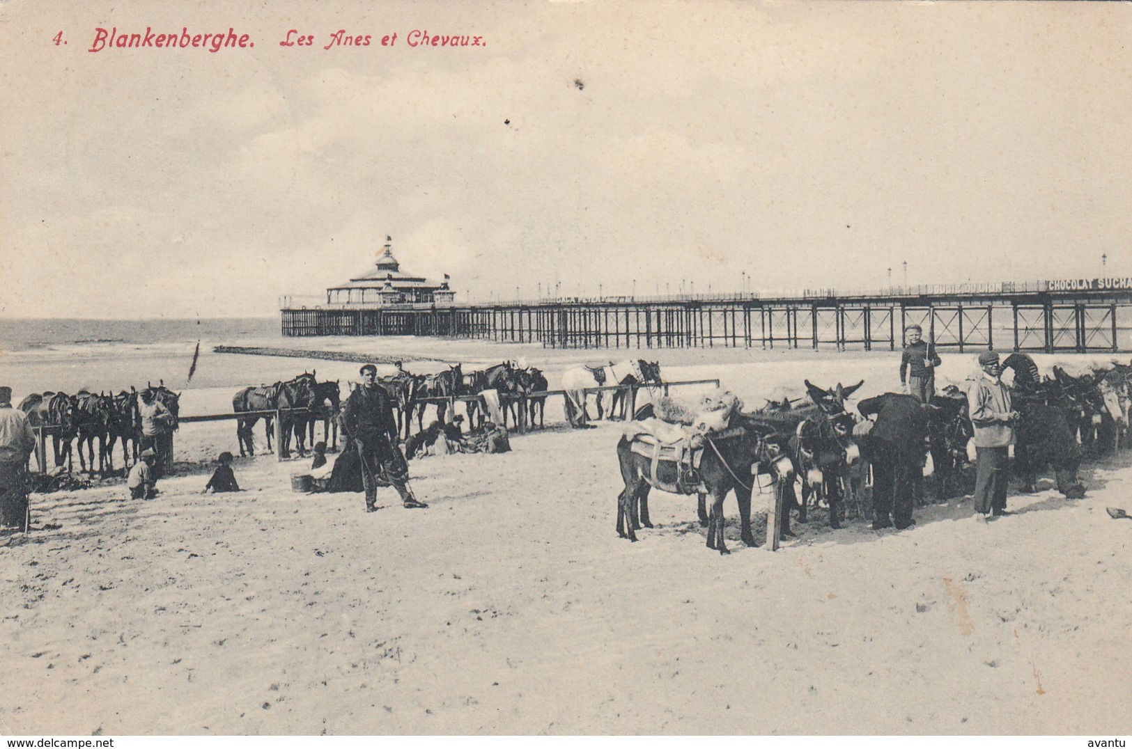 BLANKENBERGE / DE PAARDEN EN DE EZELTJES AAN DE PIER - Blankenberge