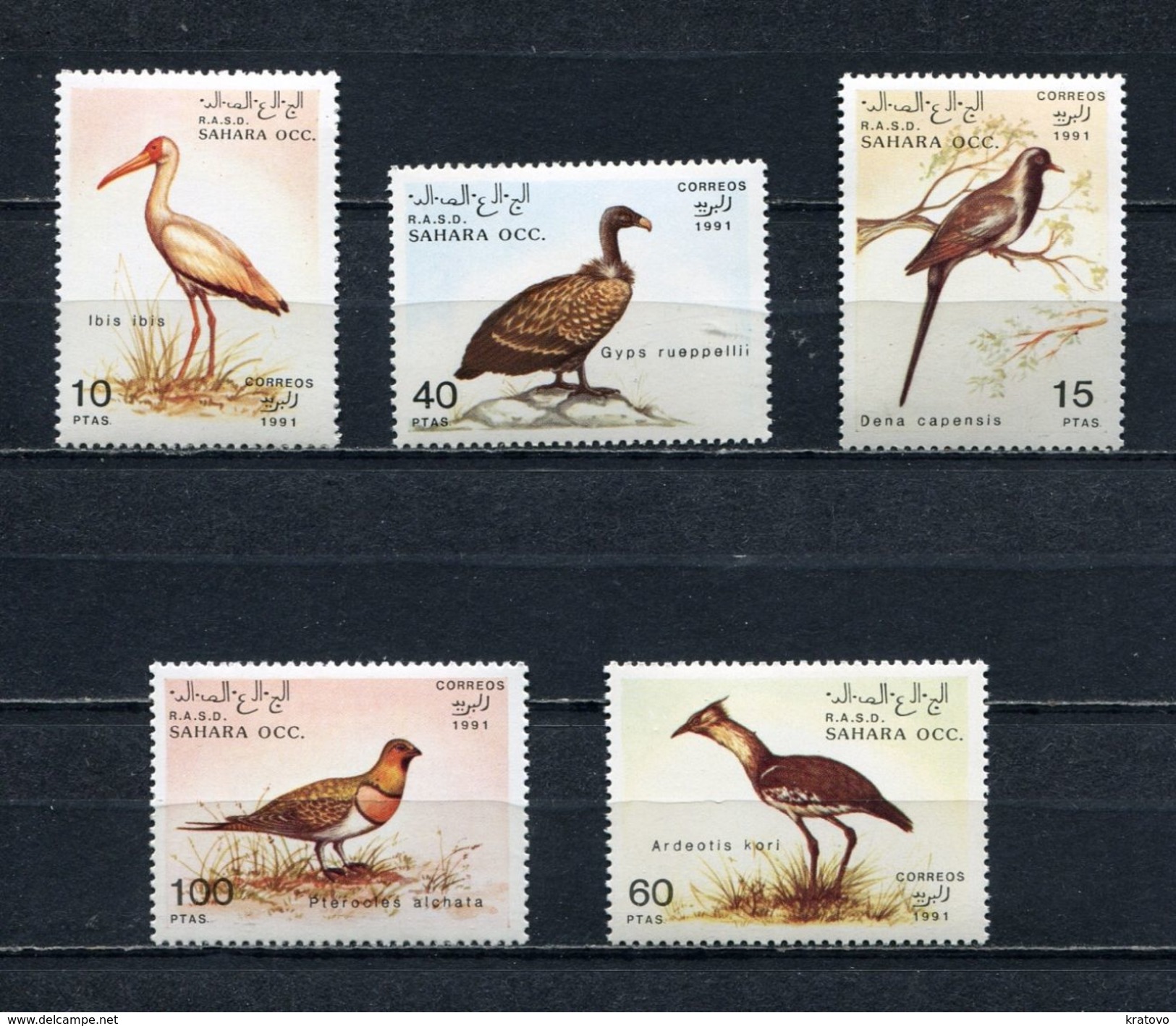 SAHARA OCC 1991 BIRDS Set Of 5 Stamps MNH - Fantasy Labels