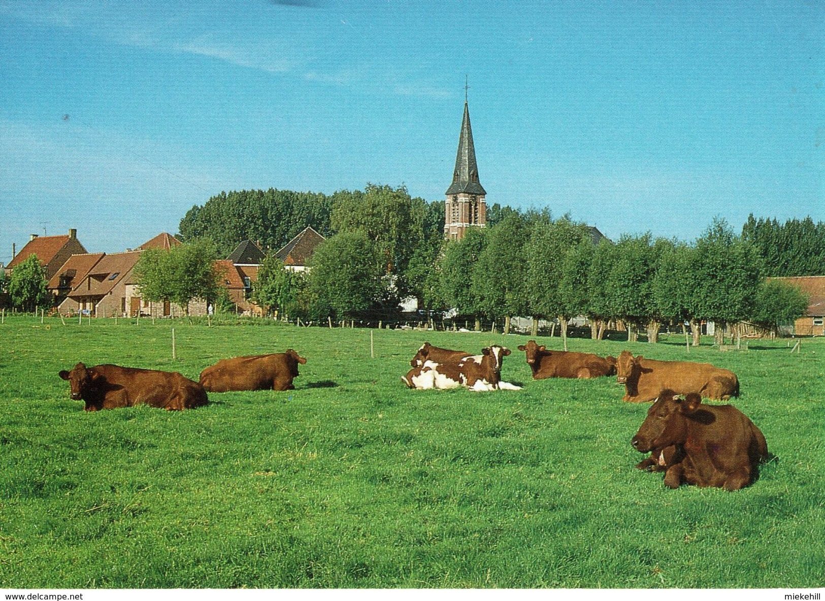 SINT-LODEWIJK-DEERLIJK-Kerk - Deerlijk