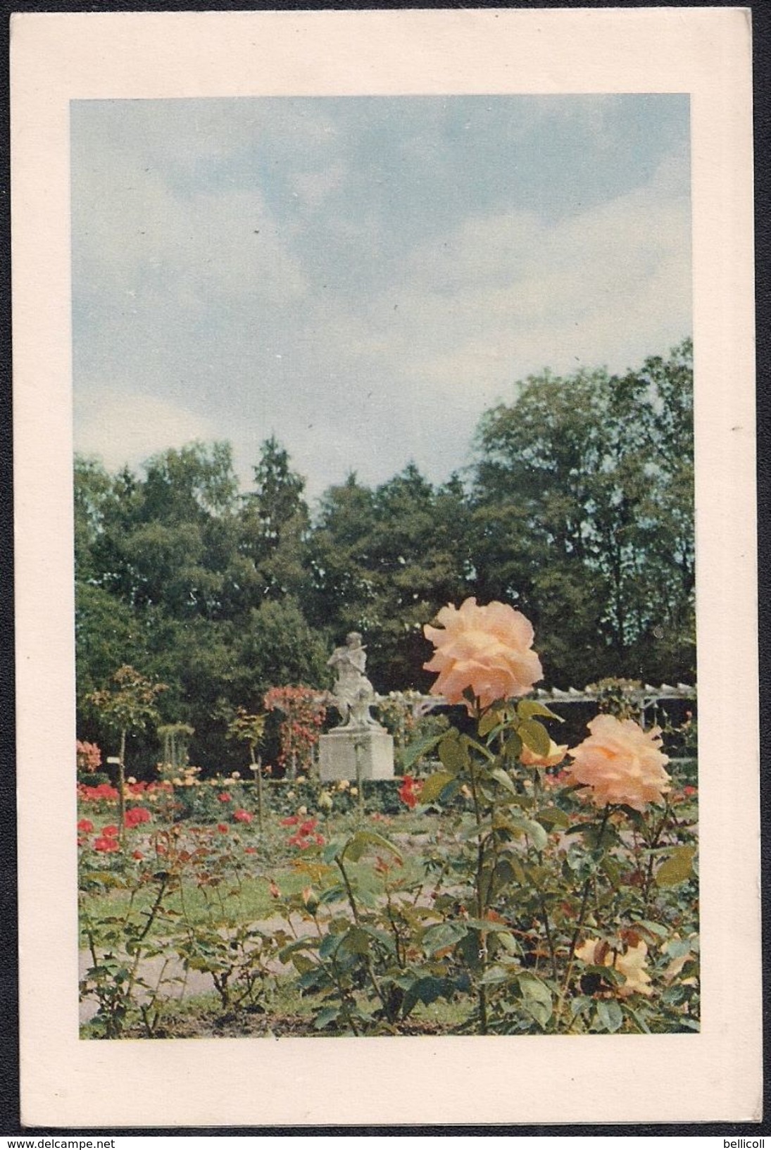 Carte De Voeux De La Société Des Eaux Minérales De Vittel - La Roseraie Du Parc - - Autres & Non Classés