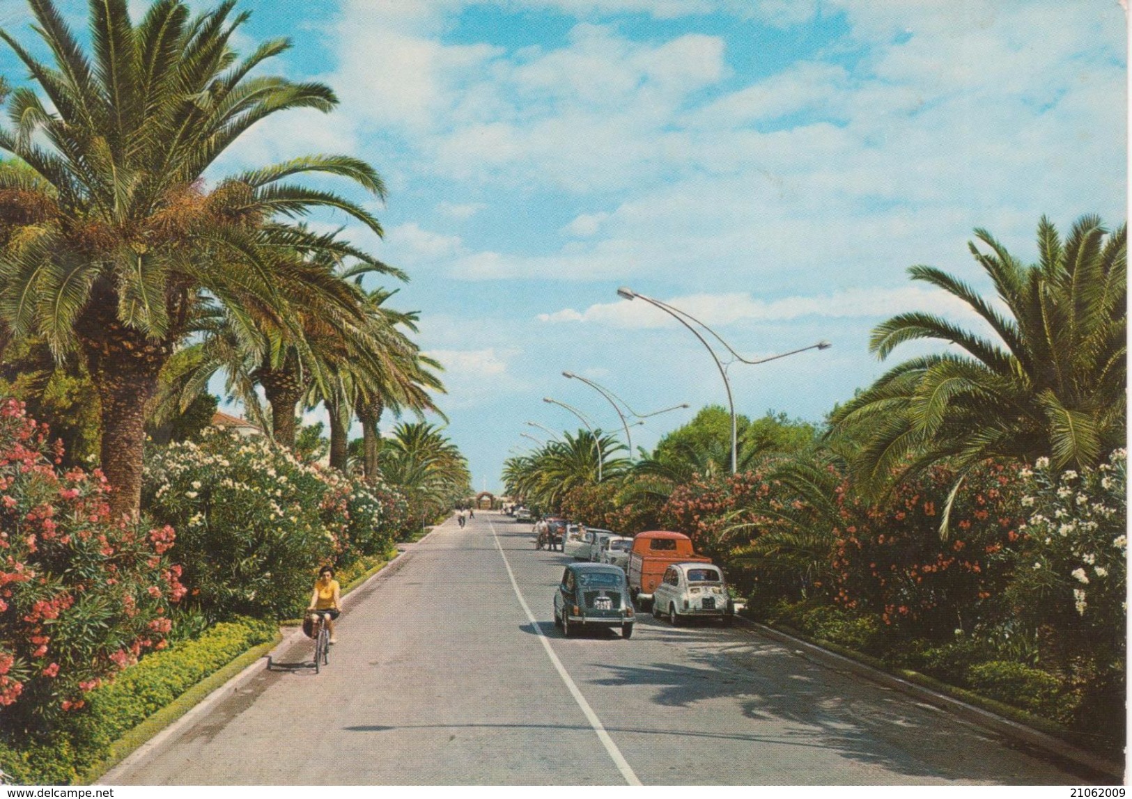 GROTTAMMARE Viale Delle Palme E Lungomare Animata Con Auto D'epoca Car Voitures FIAT 500 600 Ed Altre - Altri & Non Classificati