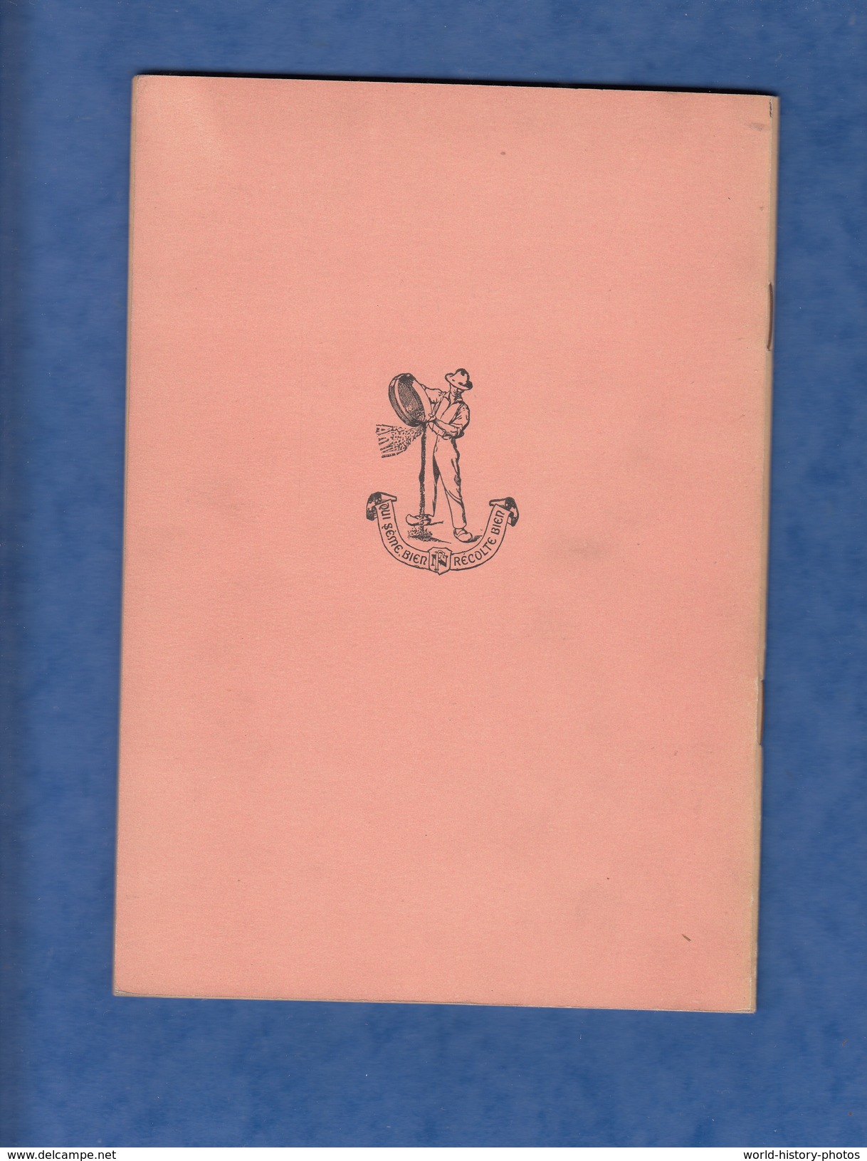 Livre Ancien De 1951 Avec Illustrations - LA METHODE ROSE , Nos Amis Lili Et Toto - A. Souché & D. Dénouel - 6-12 Jahre