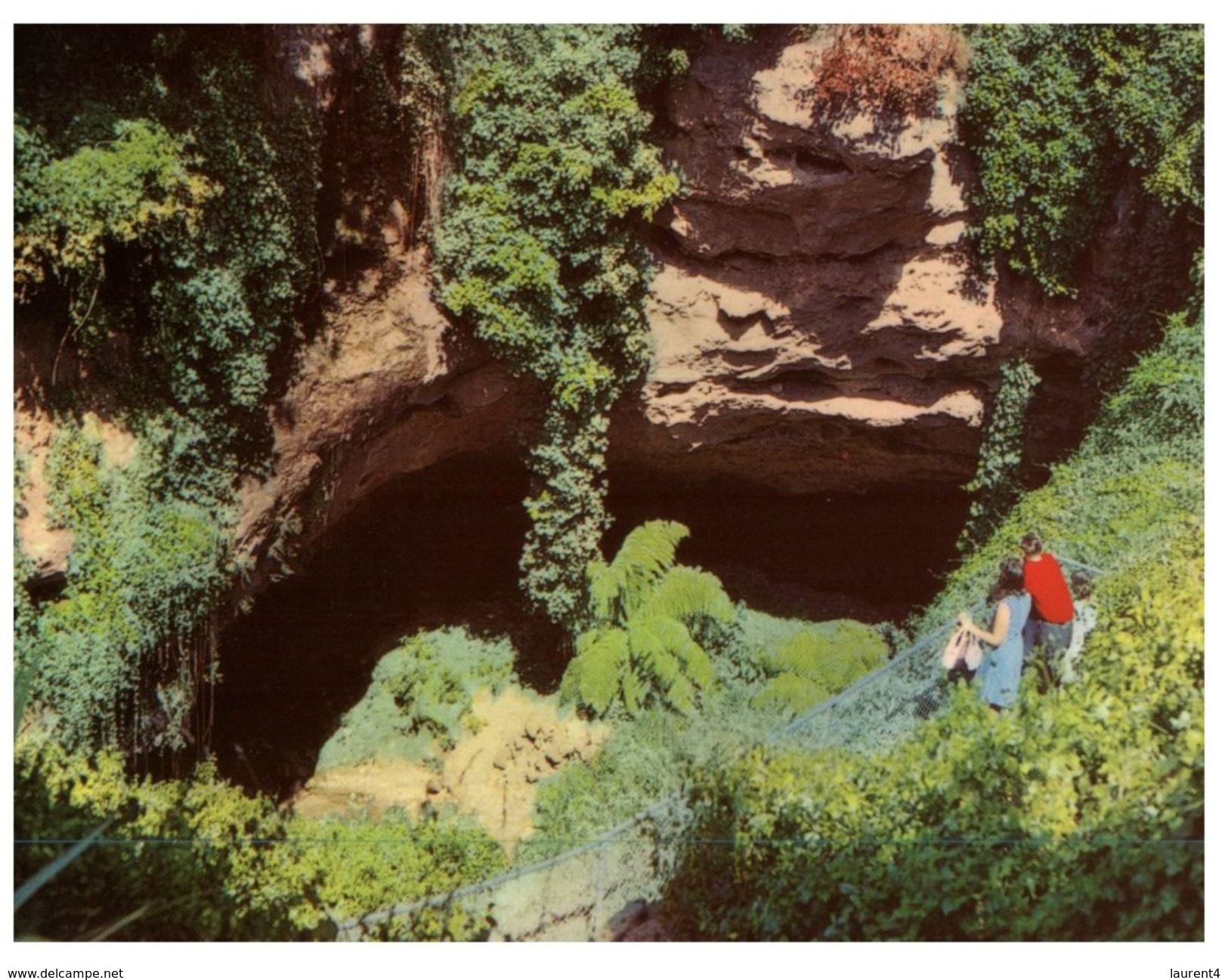 (60) Australia - SA - Mt Gambier Cave Garden - Mt.Gambier