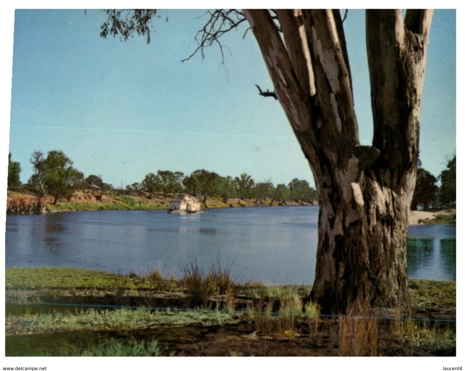 (60) Australia - VIC - Mildura River Murray - Mildura