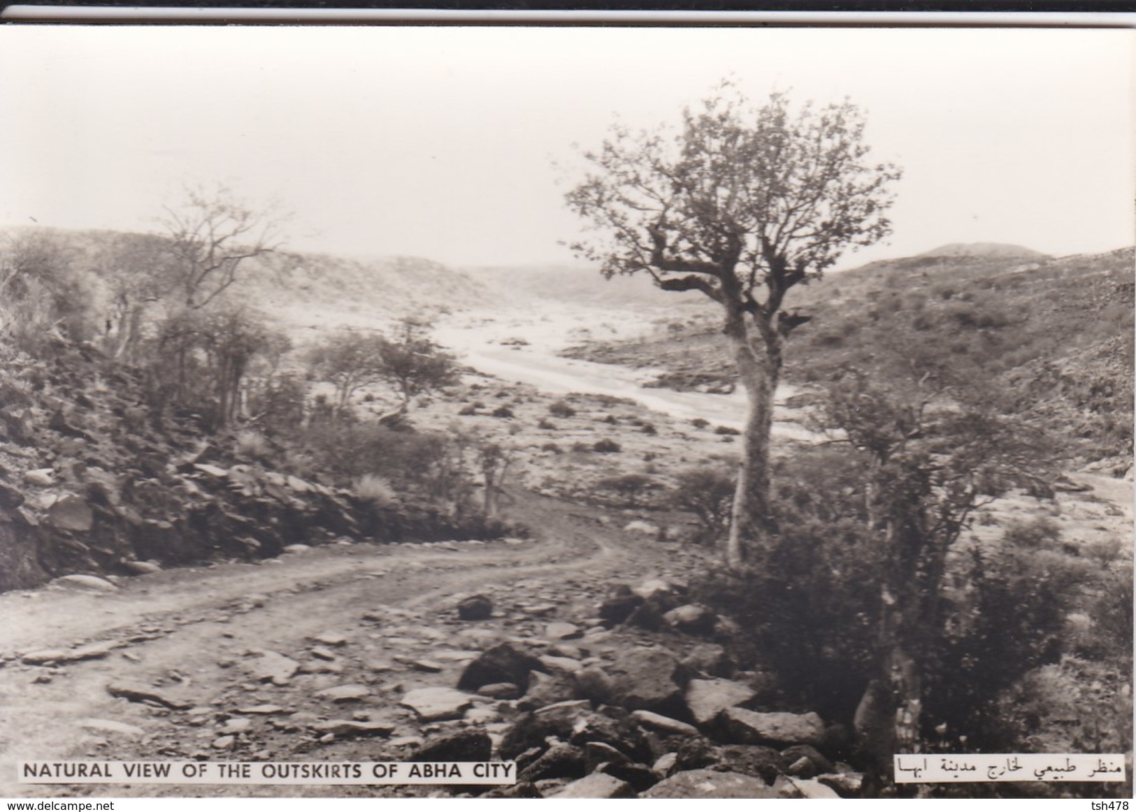 SAUDI ARABIA--RARE--natural View Of The Outskirts Of Abha City--munistry Of Information--carte Photo--voir 2 Scans - Arabie Saoudite