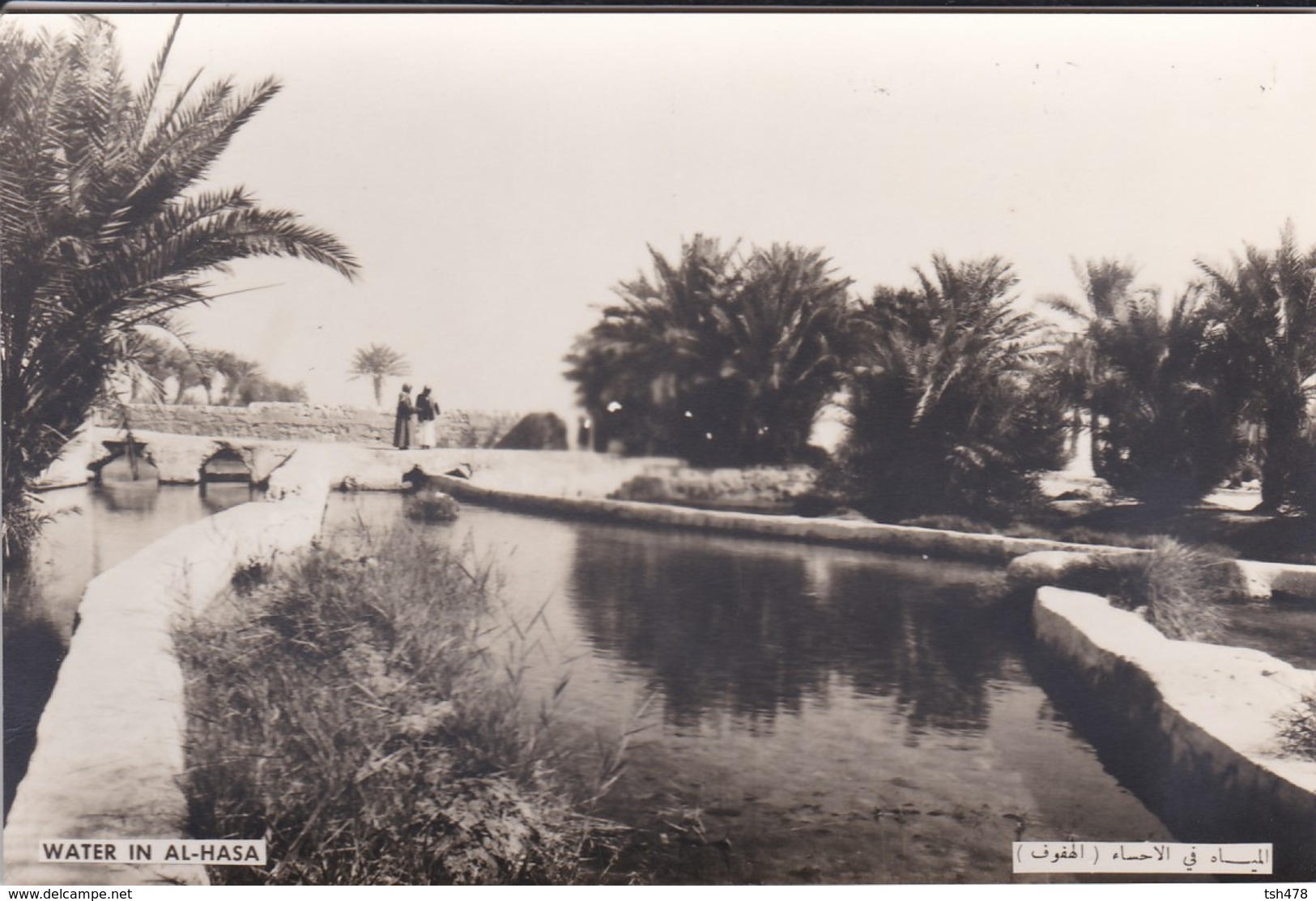 SAUDI ARABIA--RARE--water In Al-hasa--munistry Of Information--carte Photo--voir 2 Scans - Arabie Saoudite