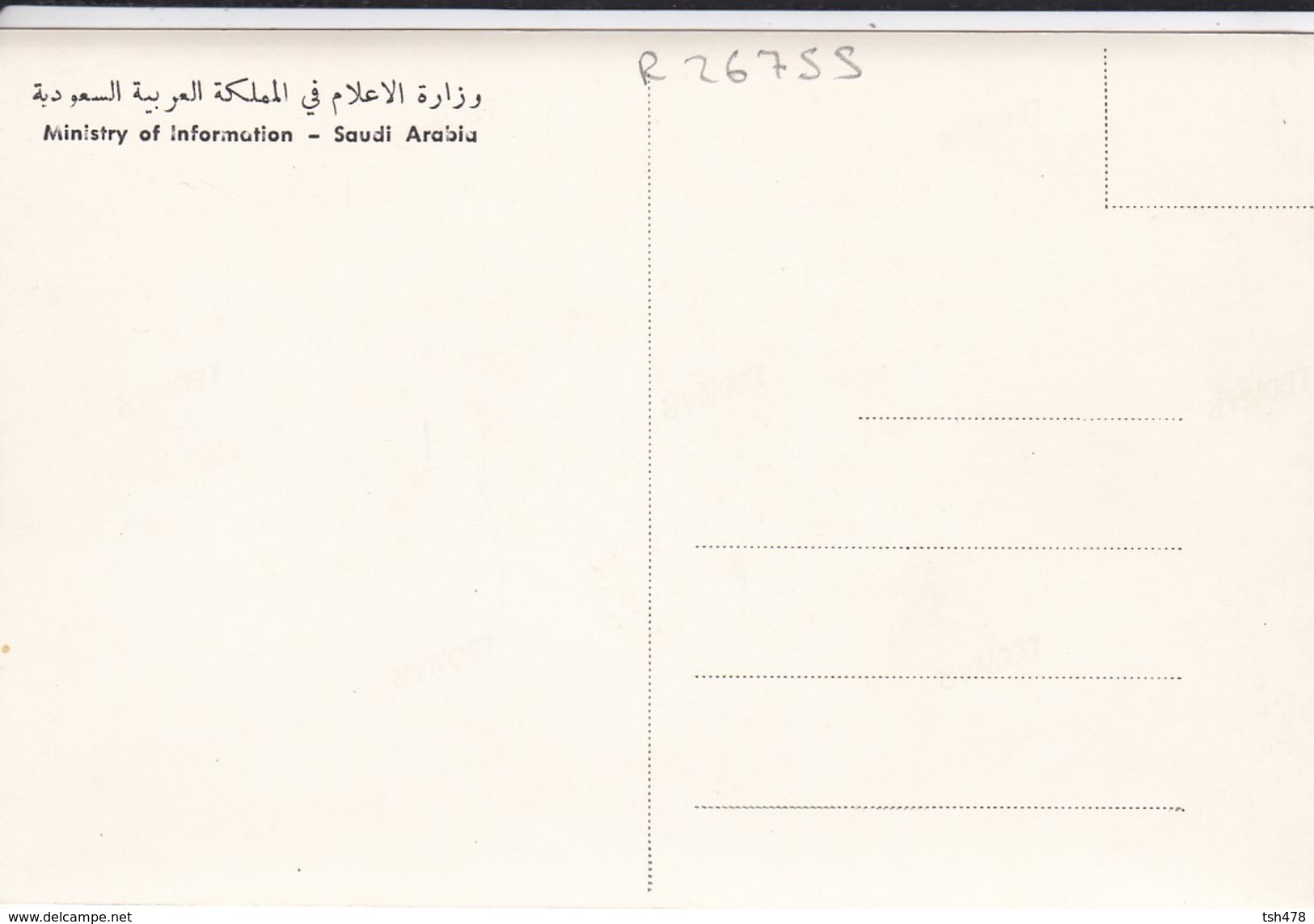 SAUDI ARABIA--RARE--water In Al-hasa--munistry Of Information--carte Photo--voir 2 Scans - Arabie Saoudite