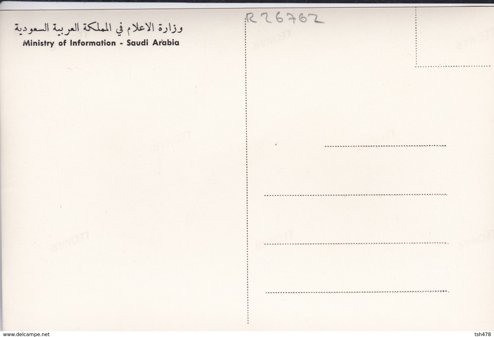 SAUDI ARABIA--RARE--rice Plantation In Al-hasa--munistry Of Information--carte Photo--voir 2 Scans - Arabia Saudita