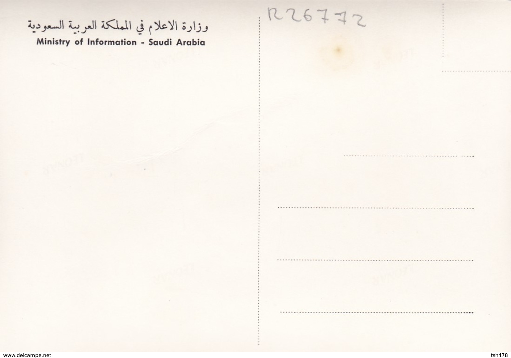 SAUDI ARABIA--RARE---natural View In Abha--munistry Of Information--carte Photo--voir 2 Scans - Arabie Saoudite