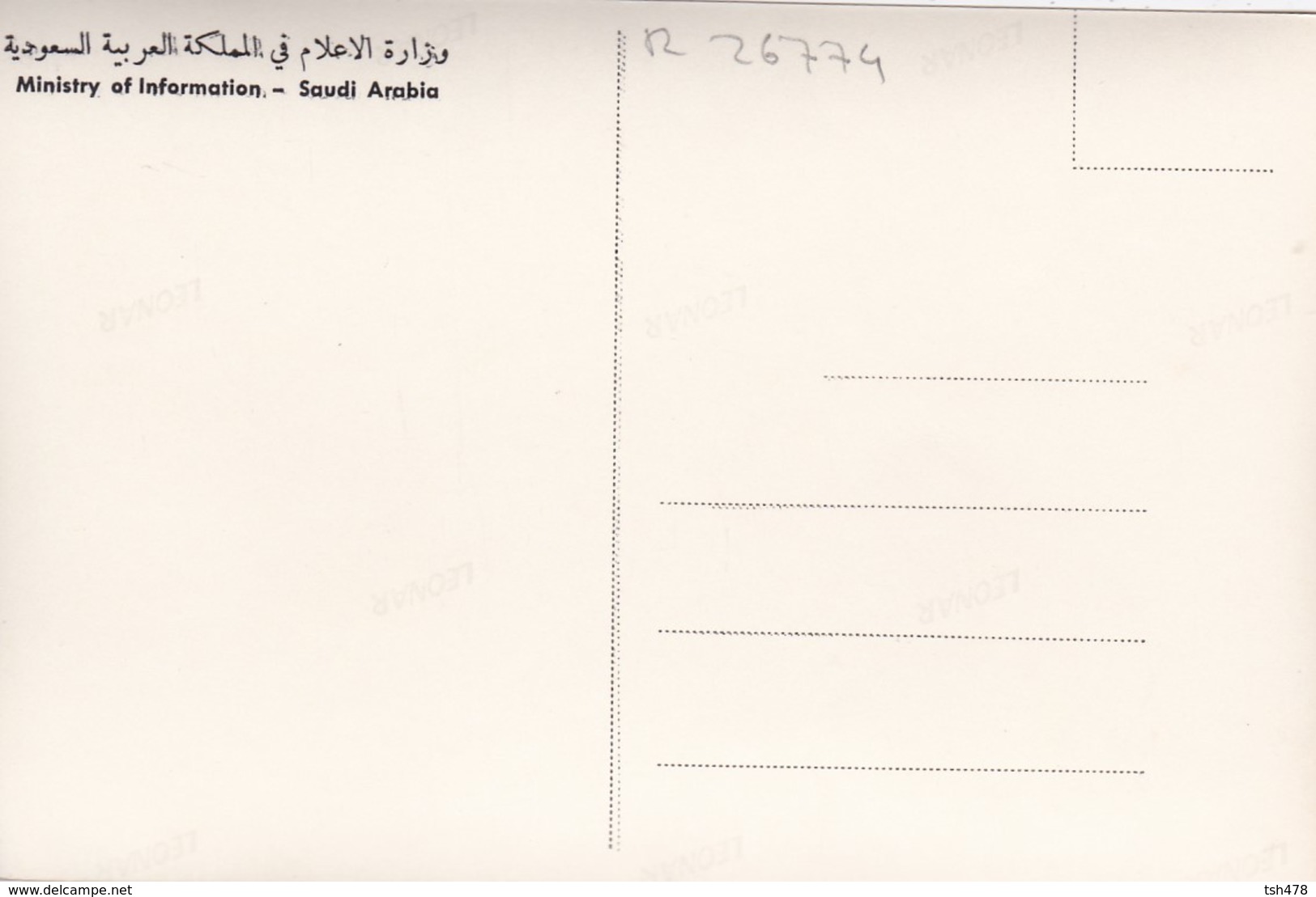 SAUDI ARABIA--RARE---Farmig In Al-hasa---munistry Of Information--carte Photo--voir 2 Scans - Arabie Saoudite