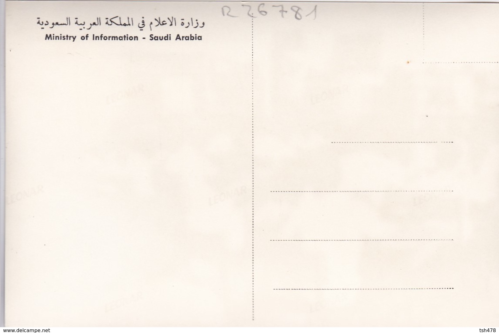 SAUDI ARABIA---secondary Students Reading At A Library--munistry Of Information--carte Photo--voir 2 Scans - Saudi Arabia