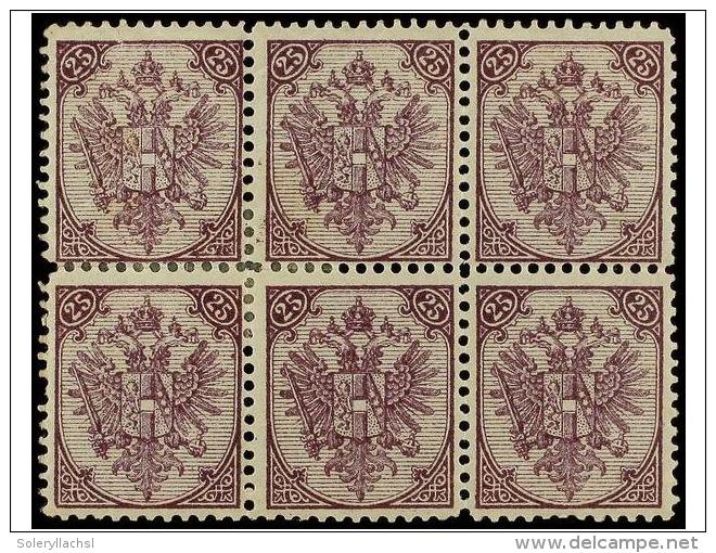 **/* BOSNIA-HERZEGOVINA. Fe.9 I (6). 1879. 25 Kr. Violet, Perf. 11 1/2. Block Of 6 Hinged (only One Never... - Otros & Sin Clasificación