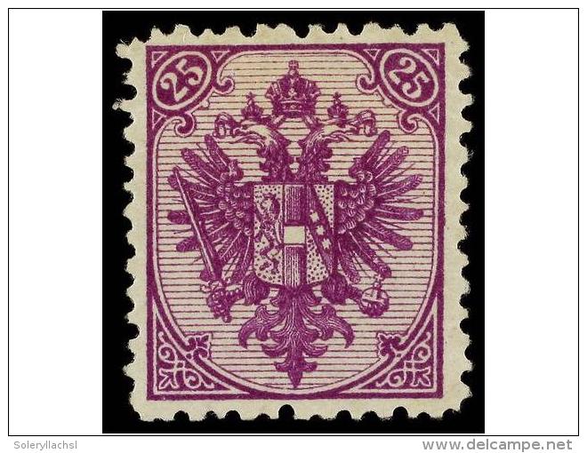 * BOSNIA-HERZEGOVINA. Fe.9If. 1879. 25 Kr. Deep Violet (hochviolett), Perf. 12. Oustanding Colour Fresh And... - Otros & Sin Clasificación