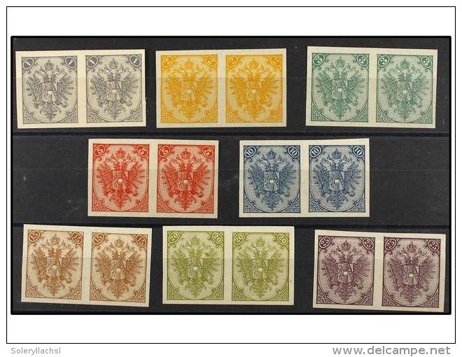 (*) BOSNIA-HERZEGOVINA. Fe.2/8. 1879. Complete Set 1 Kr. To 25 Kr. IMPERFORATE Pairs (without Gum As Issued... - Otros & Sin Clasificación