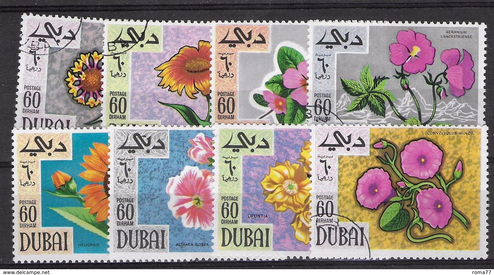 EDY 520 - DUBAI   , Otto  Valori Usati  FIORI - Dubai