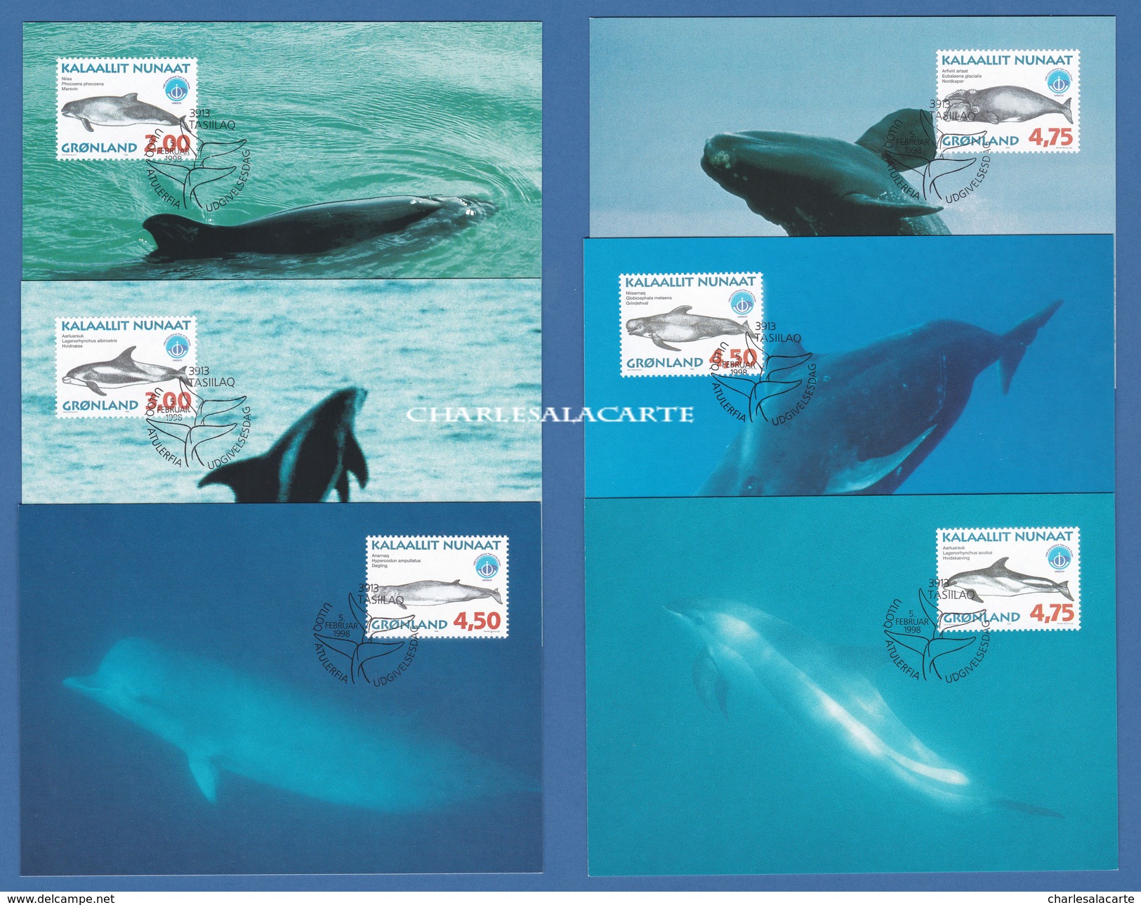 GREENLAND 1998 MAXICARDS (6)  WHALES DOLPHINS PORPOISE FACIT 315-320 - Maximum Cards