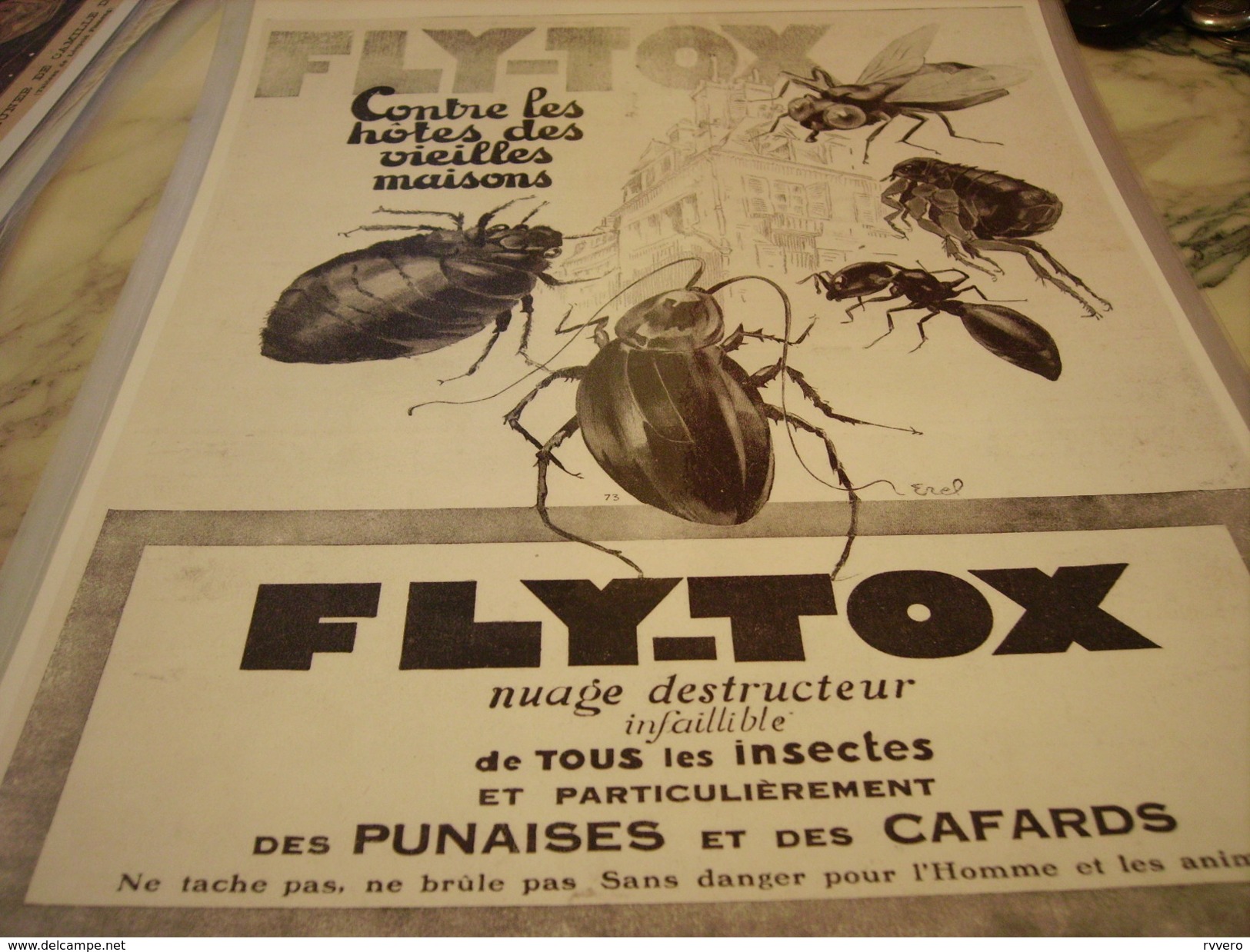 ANCIENNE PUBLICITE CONTRE LES HOTE DES VIELLE MAISON FLY-TOX 1928 - Autres & Non Classés