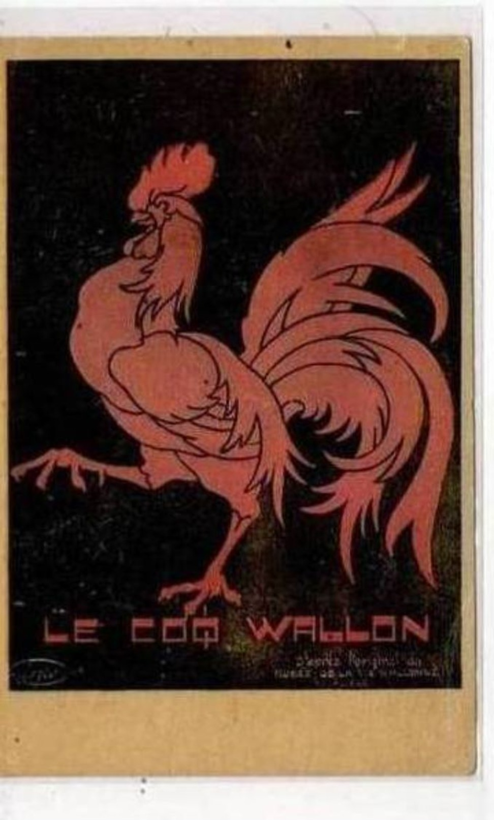 Le Coq Wallon   Marco Marcovici - Autres & Non Classés