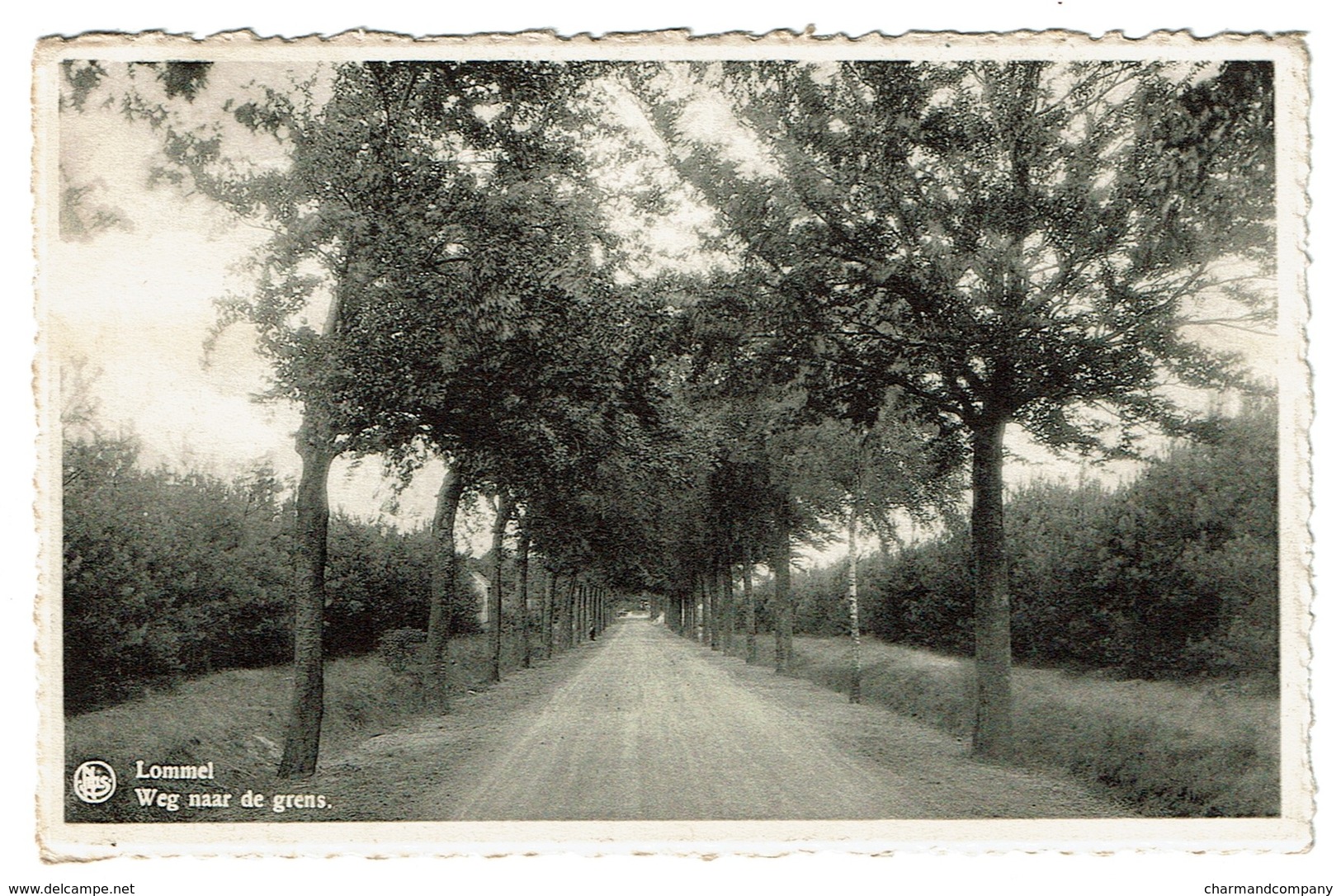 Lommel - Weg Naar De Grens - Circulée En 1956 - Uitg. Huis Jansen-Vreys - 2 Scans - Lommel