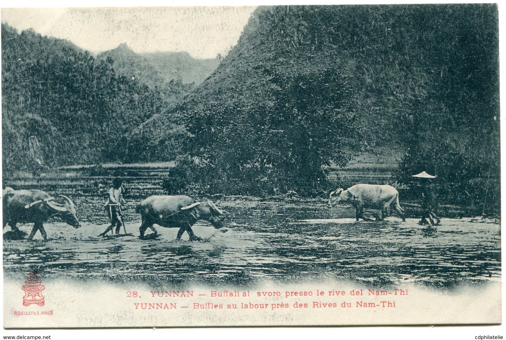 INDOCHINE CARTE POSTALE NEUVE - Otros & Sin Clasificación