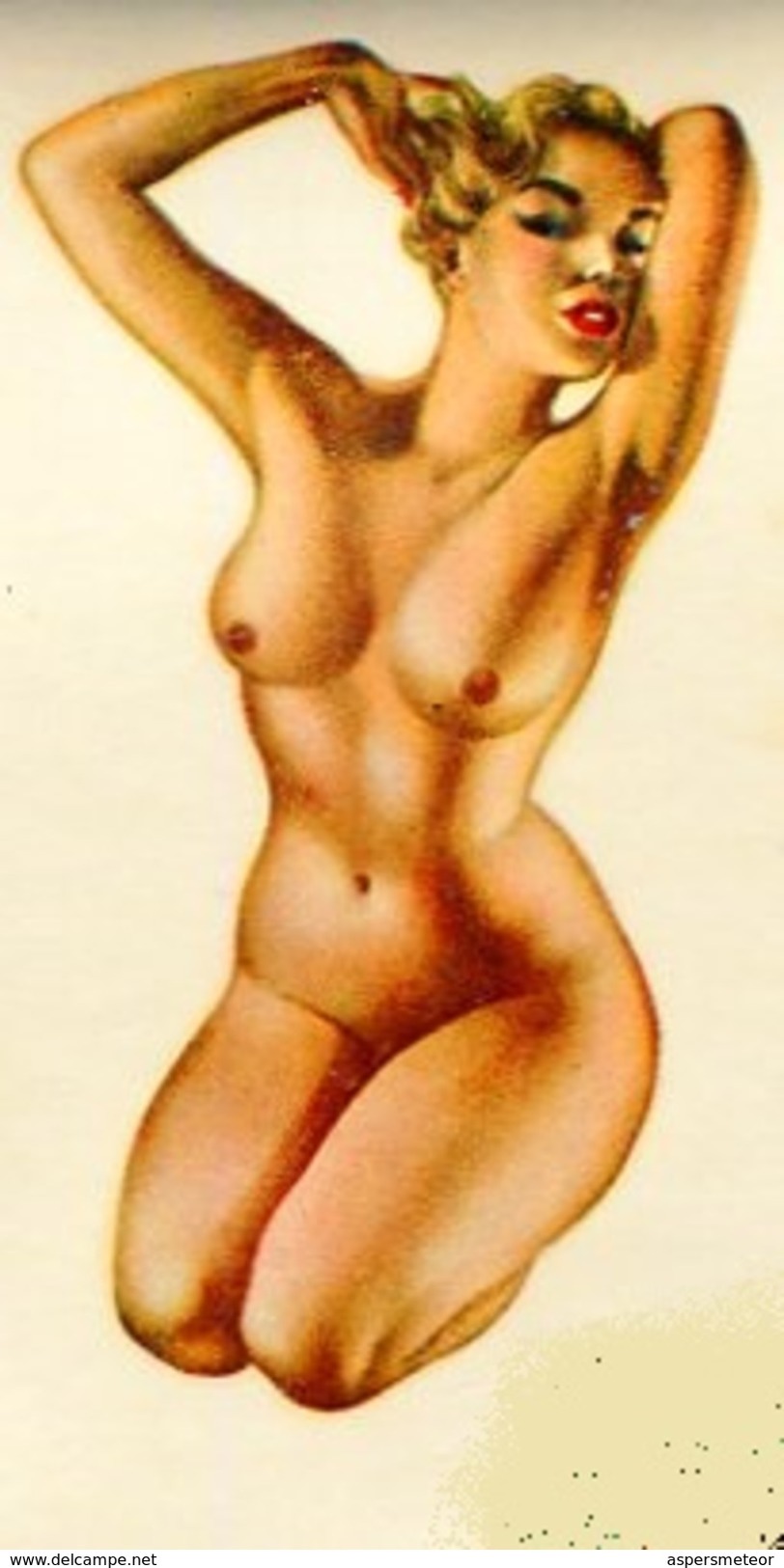 STICKER EROTIQUE PIN UP GIRLS EROTICA SEMINUDE CALCOMANIA AUTOCOLLANTE CIRCA 1950 ZTU. - Sonstige & Ohne Zuordnung