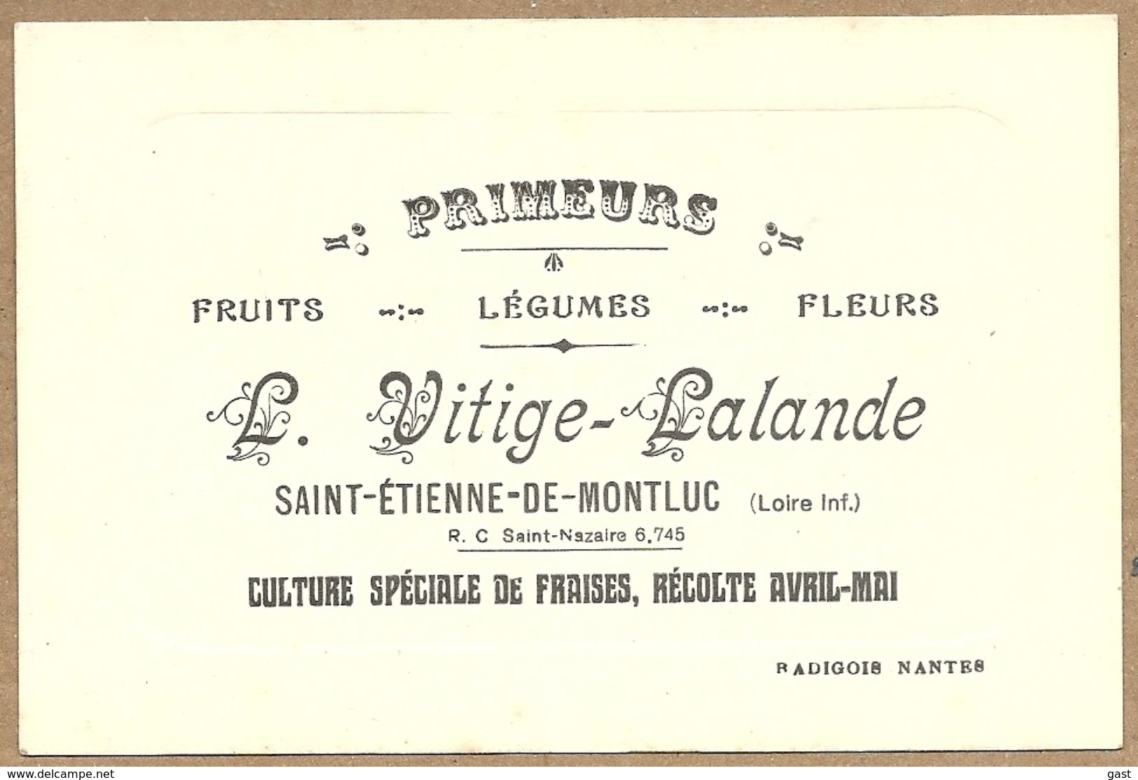44 SAINT  ETIENNE  DE  MONTLUC   L.  VITIGE - LALANDE  PRIMEURS  FRUITS LEGUMES FLEURS CULTURE SPECIALE DE FRAISES - Saint Etienne De Montluc
