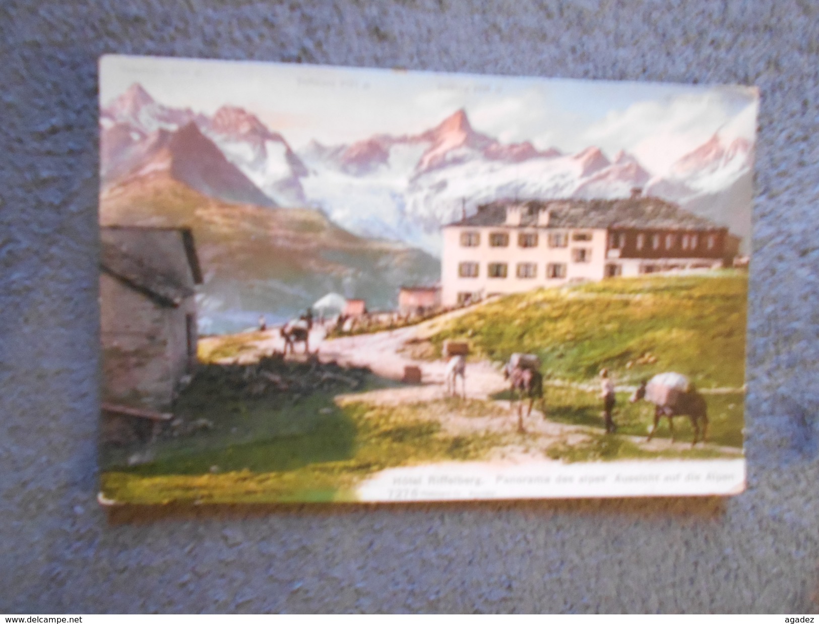 Carte Postale Hotel Riffelberg Panorama Des Alpes  Aussicht Auf Die Alpen - Other & Unclassified