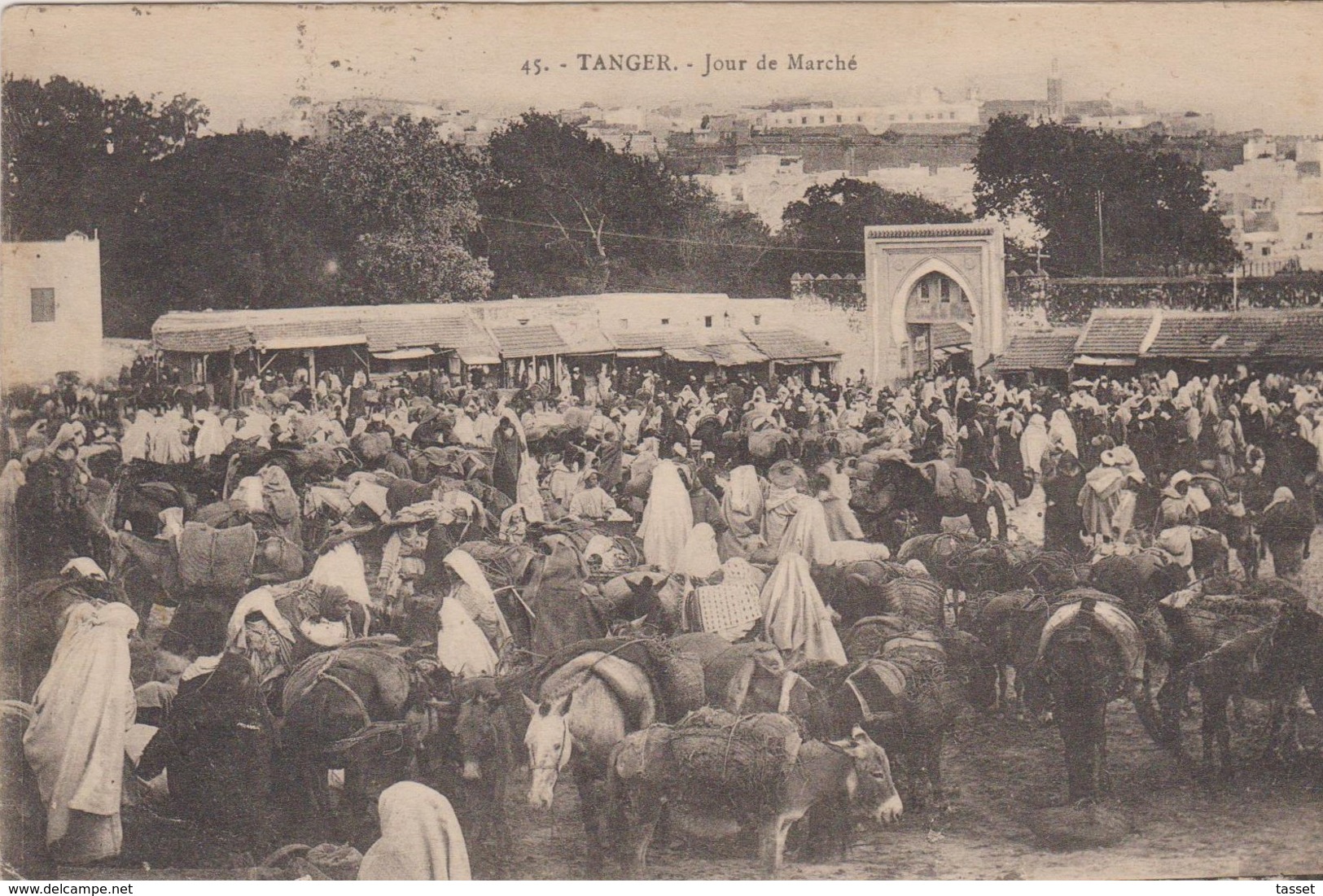 Maroc - ânes - âne   -  Tanger + SAFI - Lot De 2 CPA  - Safi Entrée De La Ville + Tanger Marché . Voir 2 SCANS - Autres & Non Classés