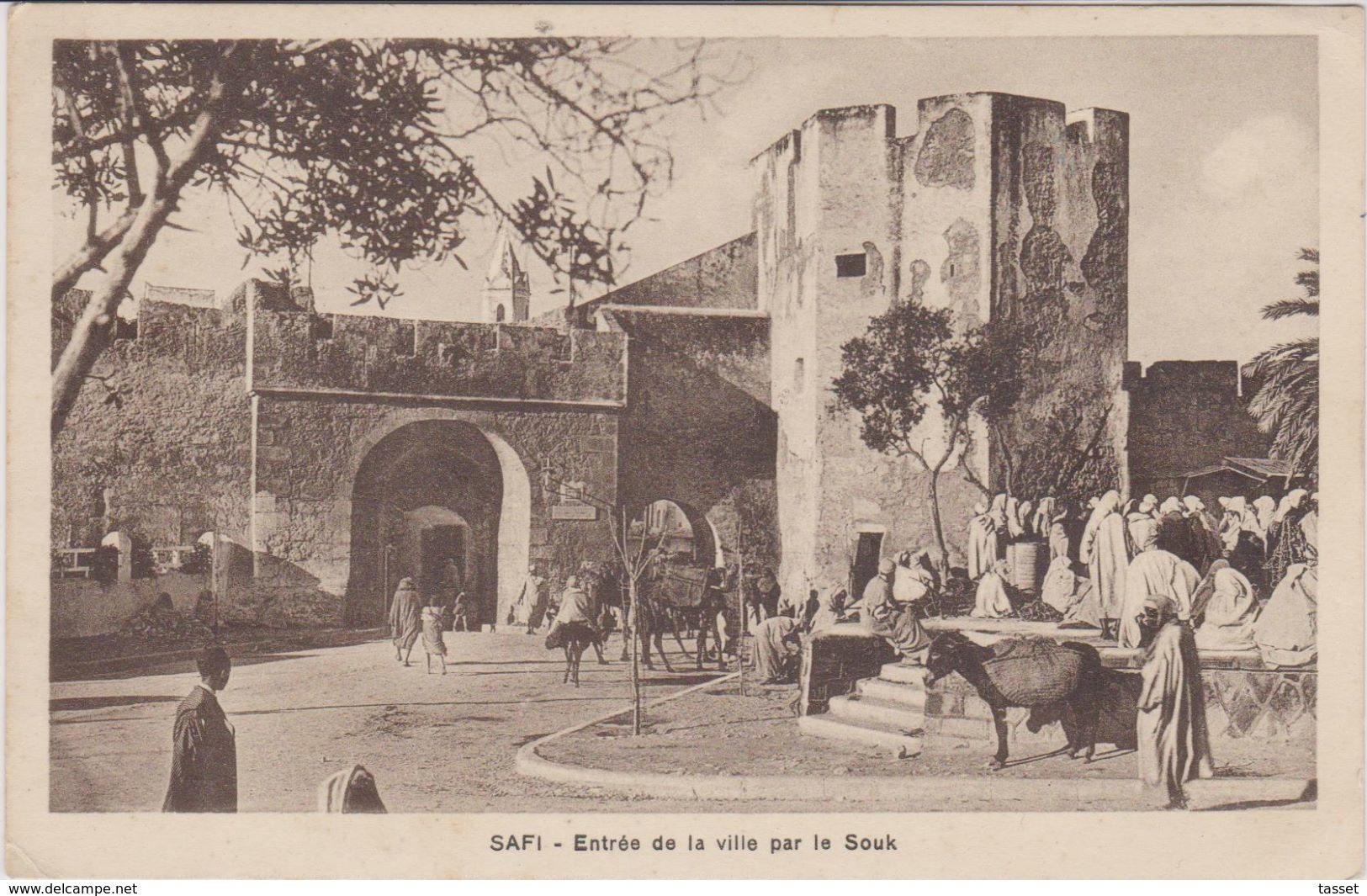 Maroc - ânes - âne   -  Tanger + SAFI - Lot De 2 CPA  - Safi Entrée De La Ville + Tanger Marché . Voir 2 SCANS - Autres & Non Classés