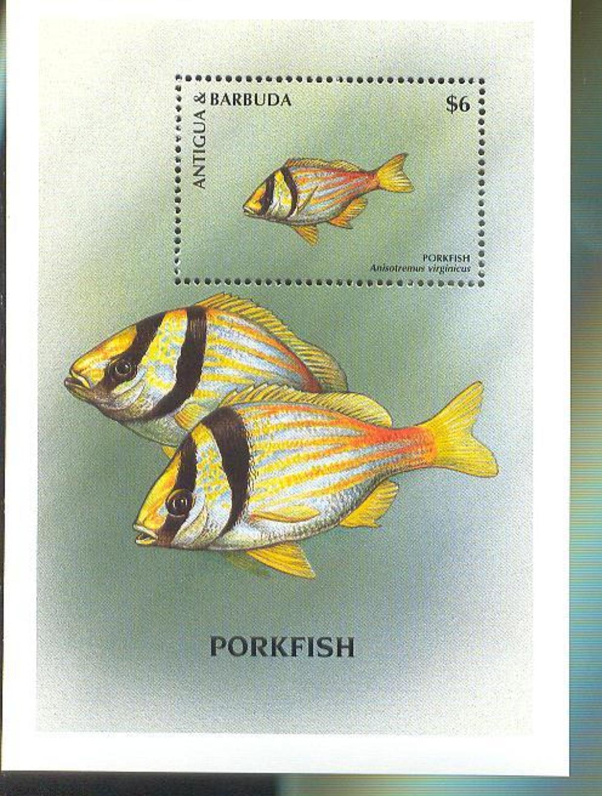 ANTIGUA & BARBUDA   2132  MINT NEVER HINGED SOUVENIR SHEET OF FISH-MARINE LIFE    ( - Pesci