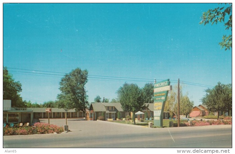 Pocatello Idaho, Pinecrest Motor Lodge Motel, C1960s Vintage Postcard - Pocatello